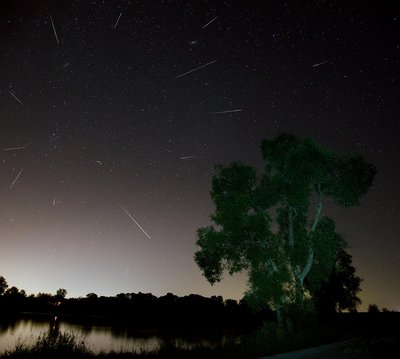 Early-Perseids_small.JPG