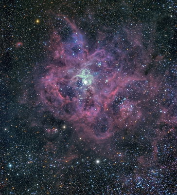 2013-09-01 NGC2070-Tarantula_re-processed2 (1 of 1)_StarSpikes-30_resV999px.jpg