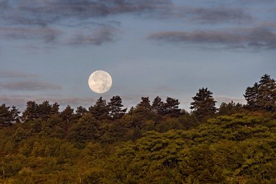 Setting Full Moon