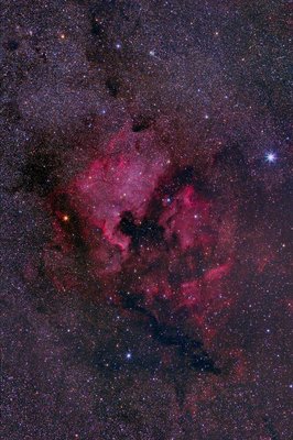 NGC7000-Region-for-apod_small.JPG