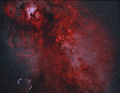 Cygnus Clouds-DW_small.JPG