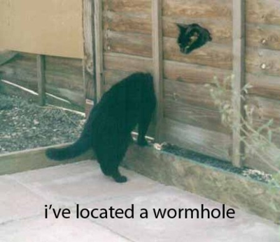 wormholekitty (credit viral internet pictures )