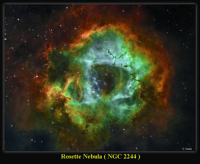 Rosette NGC2244.jpg