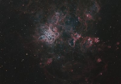 Tarantula and Ghost Head Nebulae 1171x815 pixels_small.jpg
