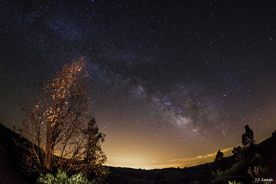 Milky Way vs Light Pollution.jpg