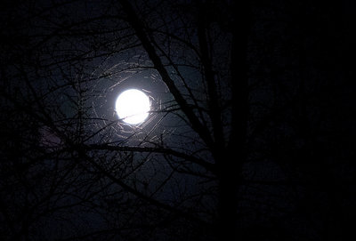 April 25 2013 moon 1.jpg