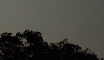Venus, 02-Jan-2014 at 18:58+10, 300mm lens.