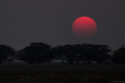 Sunspots at Sunset