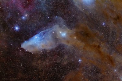 ic4592_ederL_small.jpg