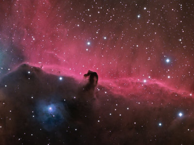 IC434-HOS-30012014-P1.jpg