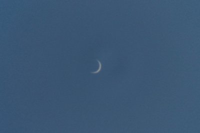 Venus_01-04-2014_Celestron_C5_2X Barlow_Canon_EOS_T3_ISO_400_250th_sec_IMG_8404_flat-corrected_redcued_size_small.jpg