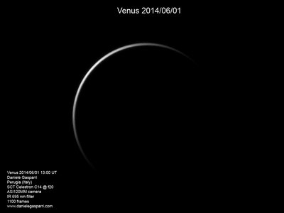 Venus_gasparri_20140601_web.jpg