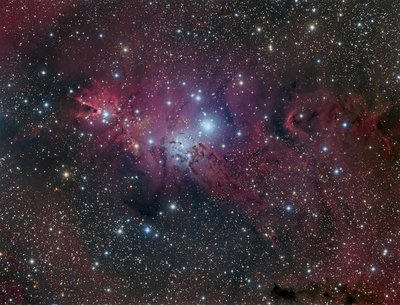 Cone-Fox-Fur-and-Christmas-Tree-Nebula-1570x1198-pixels_small.jpg