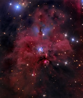 NGC1999-Walker-Grasso-Hannahoe-web-large_small.jpg