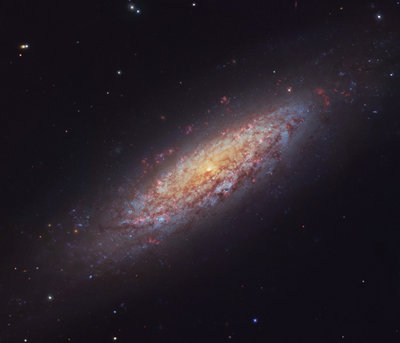 NGC6503-HST-Subaru-SS.jpg