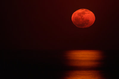 Red Moon.jpg