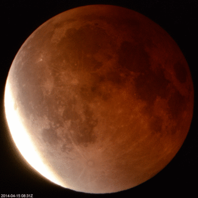 Lunar_Eclipe_20140415.gif