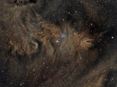 NGC 2264_CONO_HaSHO_FoxFur_1000.jpg