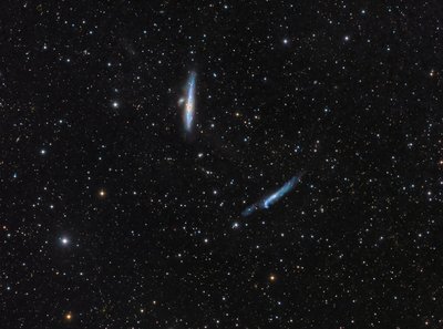 NGC4631NGC4656_small.jpg