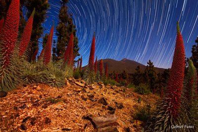 TAJINASTES_Startrails_end_small.jpg