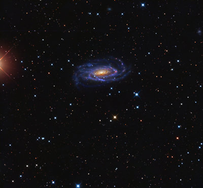 NGC5033-Hannahoe-Grasso-web-small.jpg