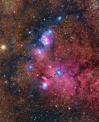 NGC6559-RC-DSS-SS_small.jpg