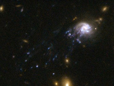 A jellyfish galaxy is at the top-right, with star-forming tendrils streaming away <br />towards the bottom-left (Image: NASA, ESA, Hubble Heritage (STScI/AURA))