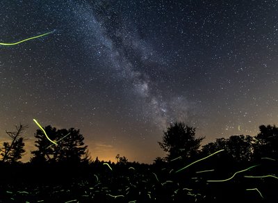 Fireflies and Mily Way_small.jpg