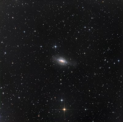 NGC3521.jpg