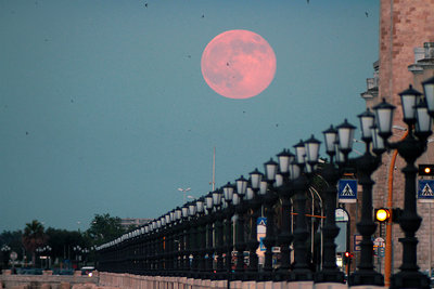 Along the seaside