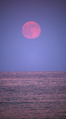 Super Red Moon in Alicante-Spain_small.jpg