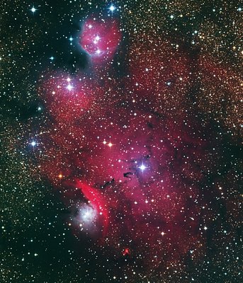 T31_IC4685_small.jpg