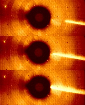 Comet C/1979 Q1 (Three consecutive images of)