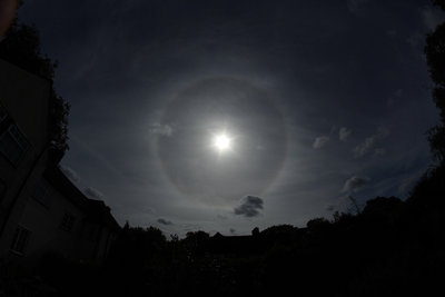 IMG_0934 halo 29 aug 2014.jpg