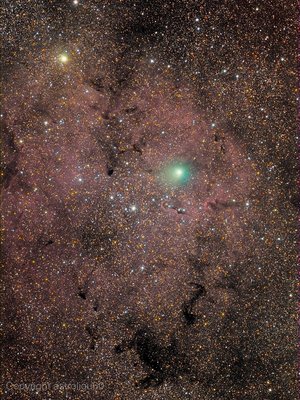 b3df4b632cd78b3b840abbbf0b14176d.1824x0_q100_watermark_watermark_opacity-80_watermark_position-4_watermark_text-Copyright astroligu60_small.jpg