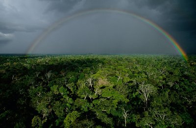 Storm above the Amazonian Forest