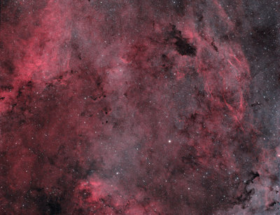 Barnard 343 area in Cygnus.jpg