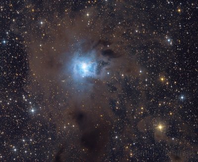 ngc7023_small.jpg