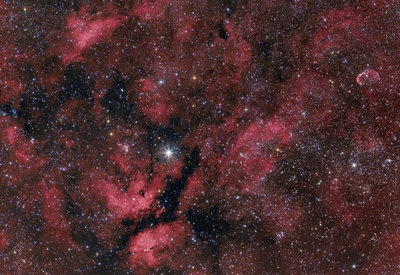 SADR Crescent nebula 200mm landscape sharpcrop 4nsmall 500 kb.jpg