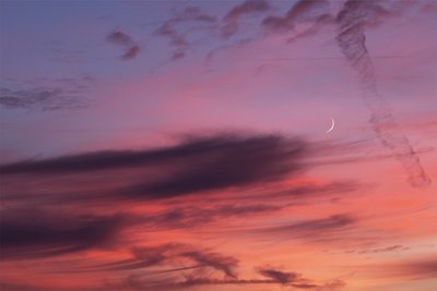 crescent-moon-by-elke-schulz_small.jpg