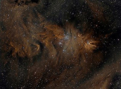 NGC 2264 Christmas Tree Nebula_small.jpg