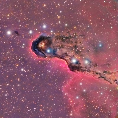 NGC 1396 finale_small.jpg