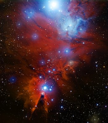 NGC 2264 and the Christmas Tree cluster_small.jpg