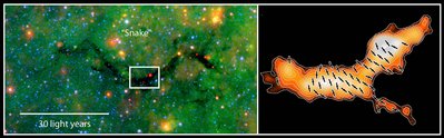 In the left panel the “Snake” is seen as a dark silhouette against the diffuse <br />mid–infrared glow of the Milky Way. The right panel zooms in on a dense <br />section of the cloud that is outlined by a box in the overview panel. The <br />background false–color image and contours indicate emission from cold dust. <br />Markers give the magnetic field orientation derived from polarization observations.<br /><br />© T. Pillai &amp; J. Kauffmann, Spitzer GLIMPSE &amp; MIPSGAL (NASA/JPL-Caltech/<br />S. Carey [SSC/Caltech]) and SCUPOL from JCMT (P. Redman/B. Matthews)