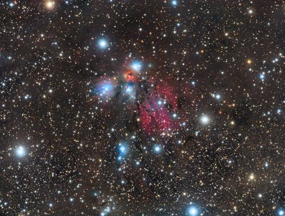 The Angel NGC 2170 1570x1188-pixels_.jpg
