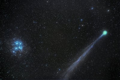 Lovejoy Scaled 1-6 tail_small.jpg