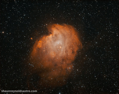 NGC 2175.jpg