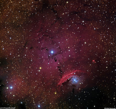 ic4685_1200.jpg