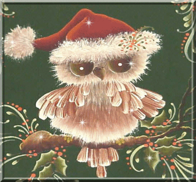 Owl dressed for Christmas!