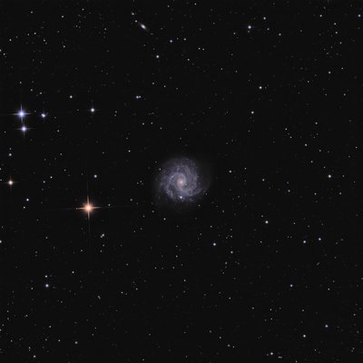 ngc3184-20150215-m-bautzmann_smal.jpg